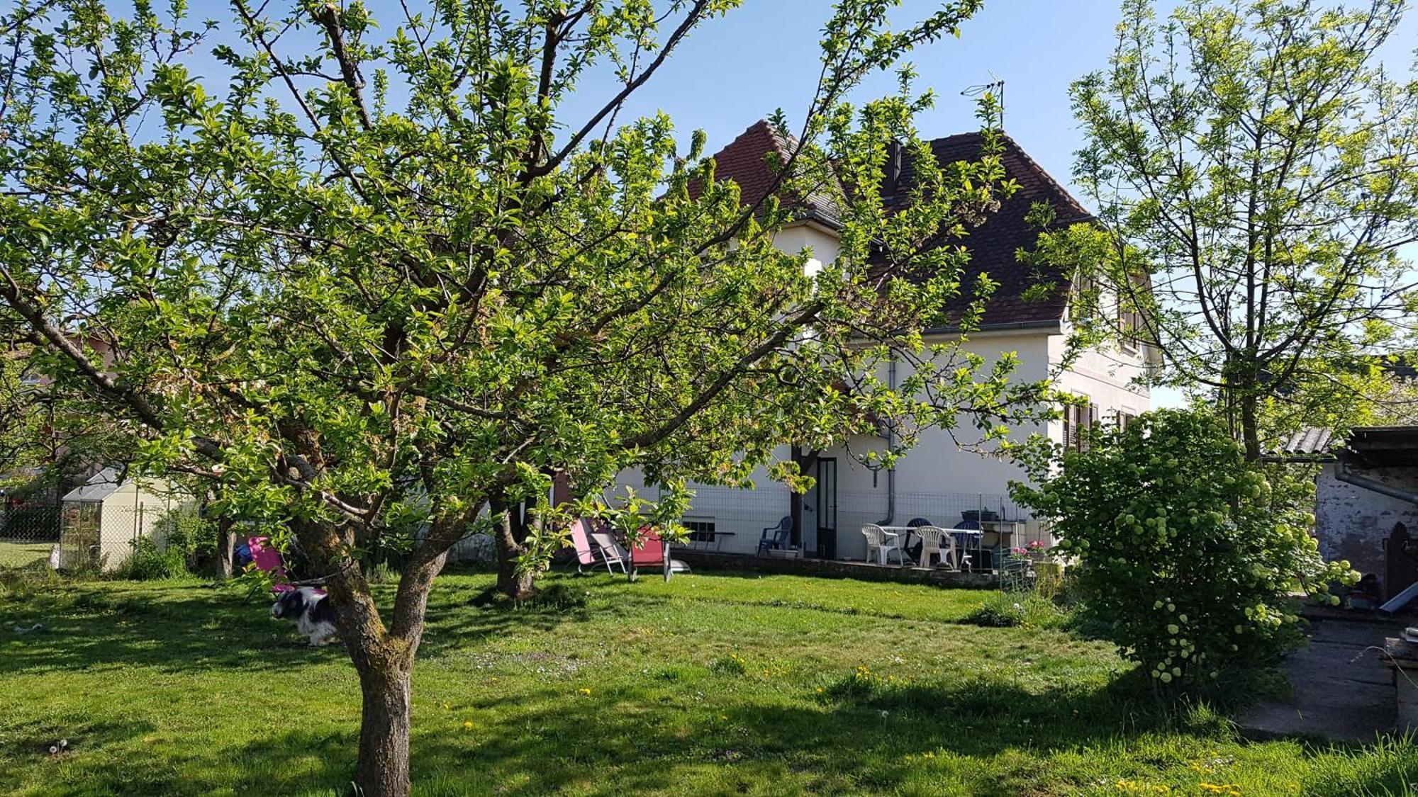 Maison Les 3 Roses Wolfisheim Zewnętrze zdjęcie
