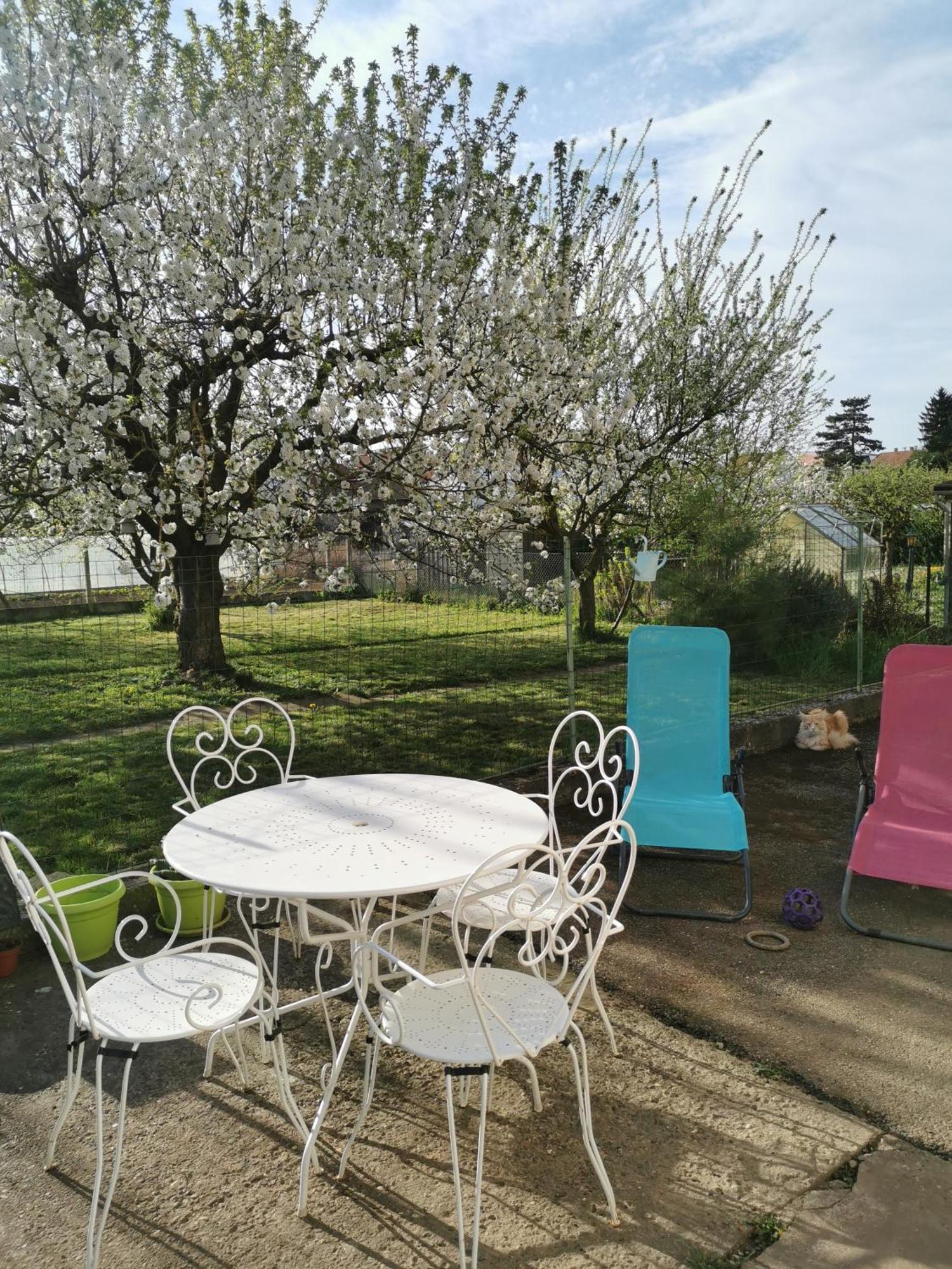 Maison Les 3 Roses Wolfisheim Zewnętrze zdjęcie